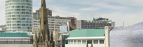 Adam Plows banner