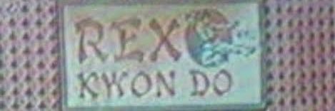 Rex Kwon Do banner