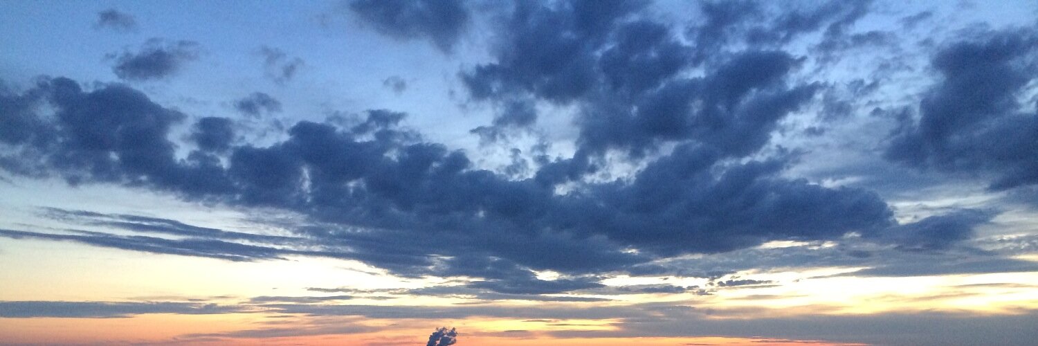 Steffen Jauch | jauch.bsky.social banner