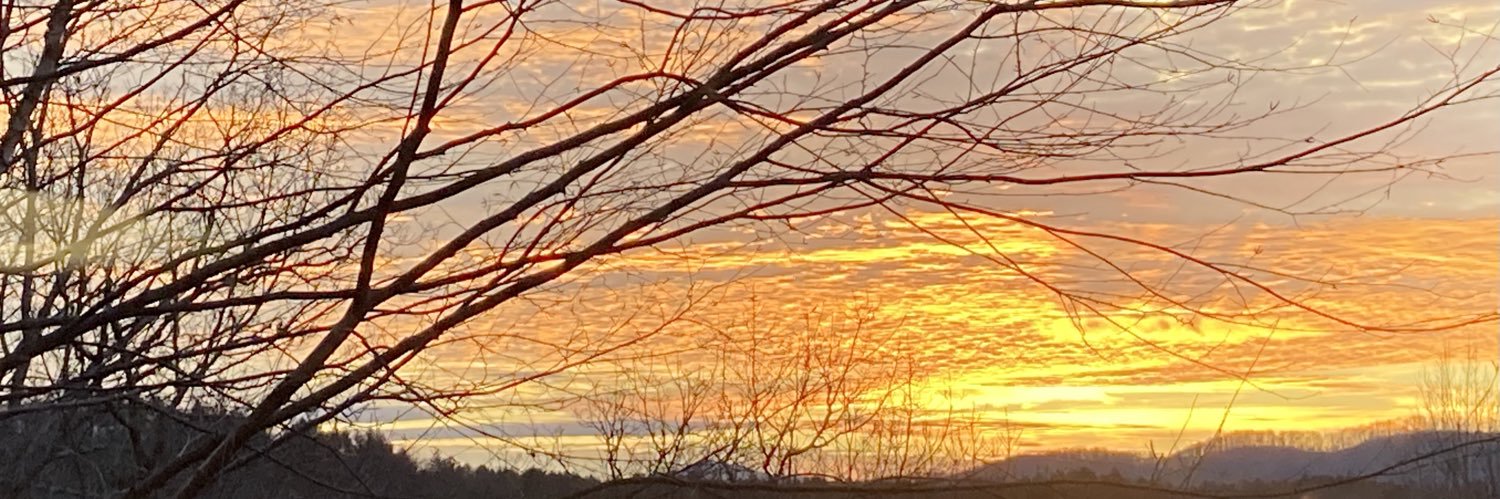 Len Lichtenfeld MD MACP banner