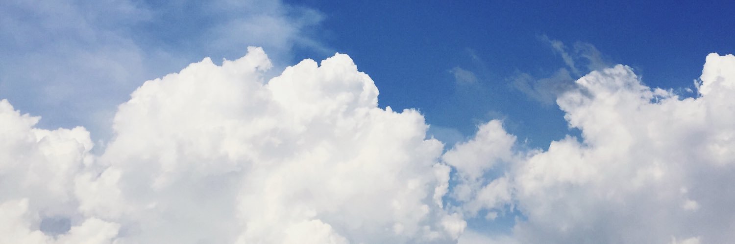 ฝ้ายปุญ banner