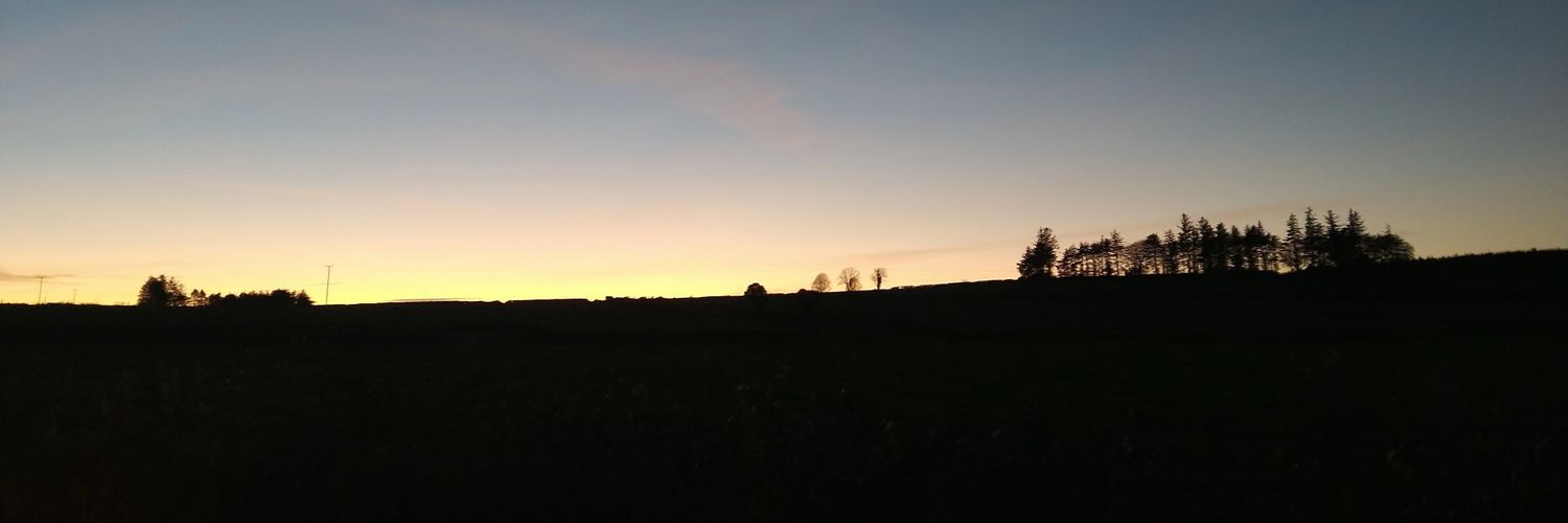 SineadDelaney1's profile banner image