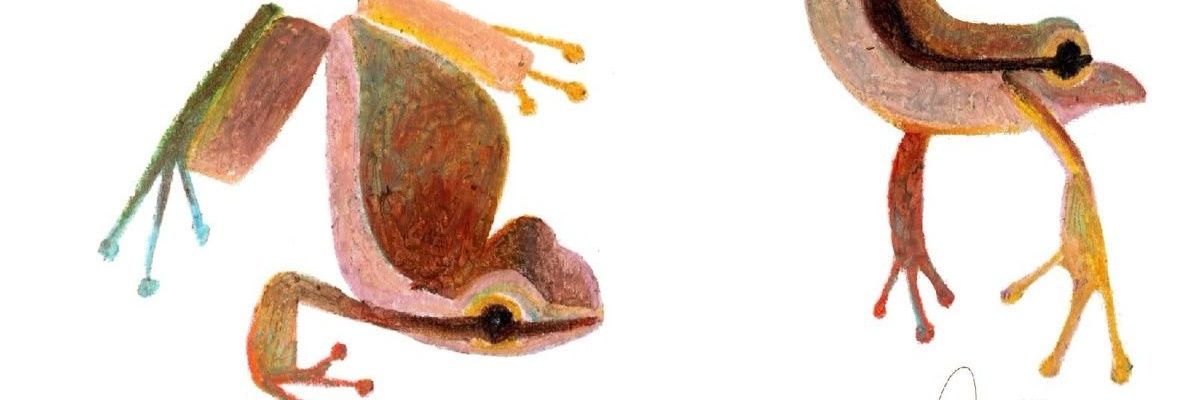 AphiosElle's profile banner image