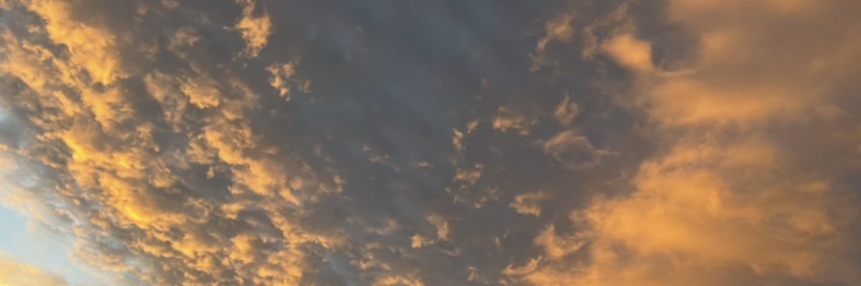 💋🏹MichonBelle banner