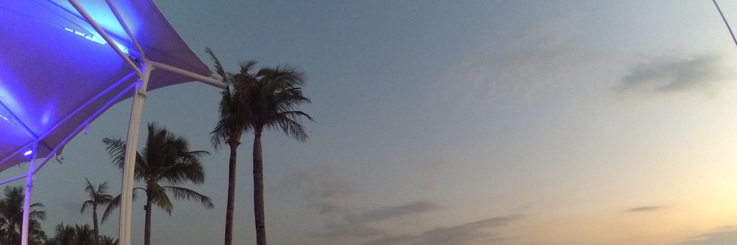 nitaharisa's profile banner image