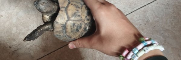 Hala21306 Profile Banner