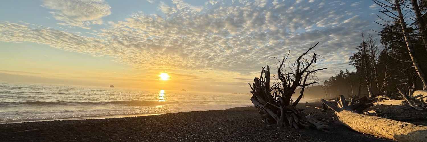 Matthew Marchant banner