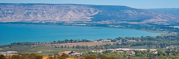 Adrian Elliot banner