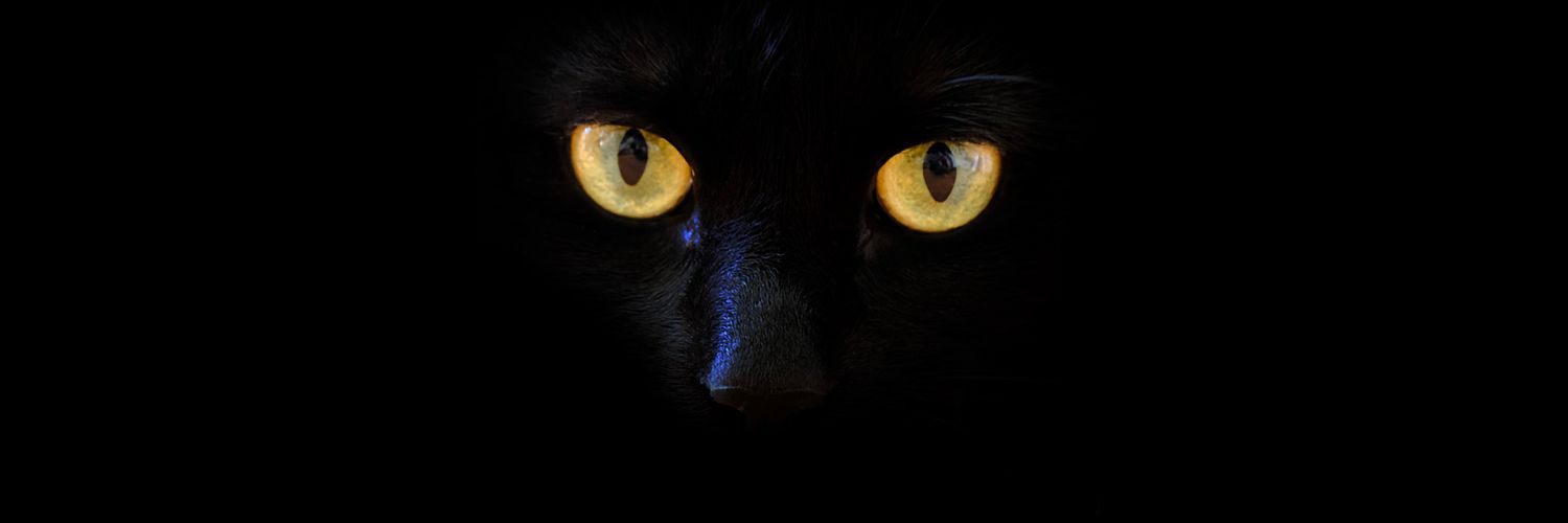 amhakii's profile banner image