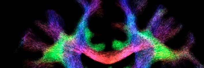 Chenyu Wang (Tim) banner