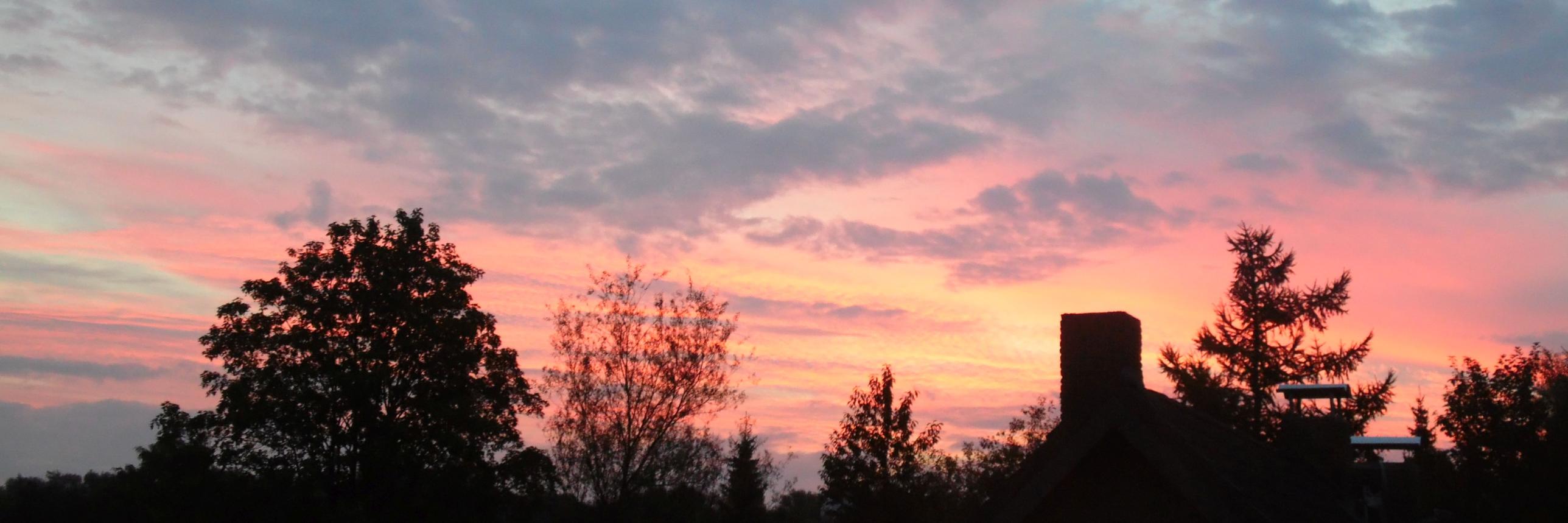 Halliway's profile banner image