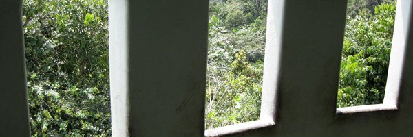 gogrinc Profile Banner