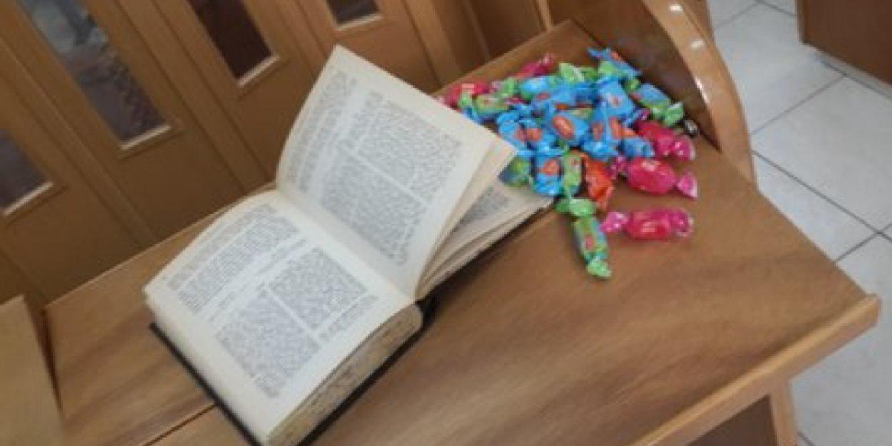 גפי אמיר banner