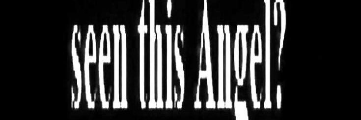 plarpmogged's profile banner image