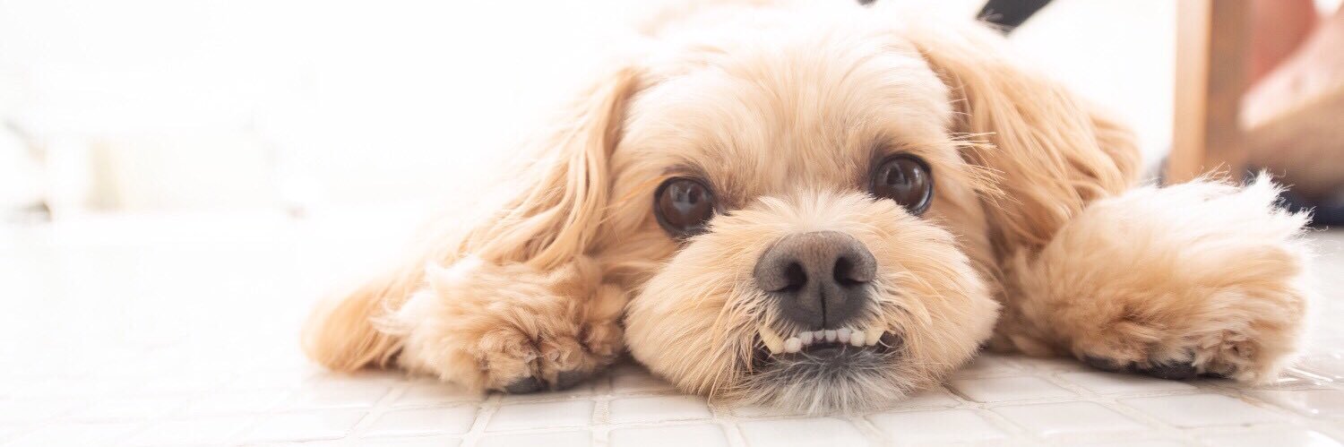 西村　文男 banner