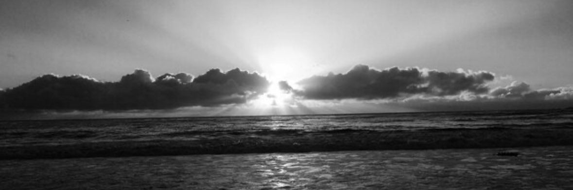 markel banner