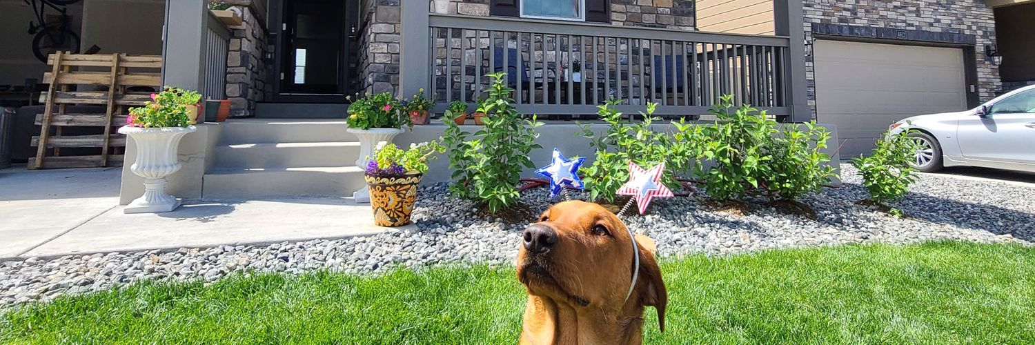 Tj Manspeaker banner