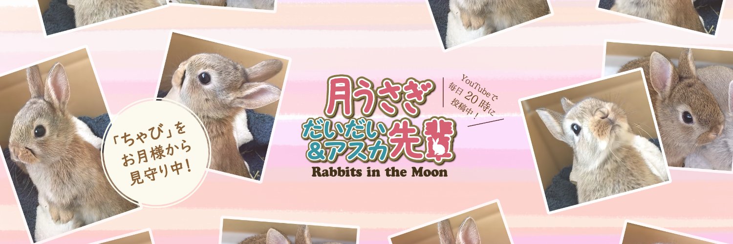 DragonFantasyV's profile banner image