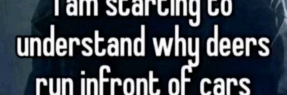 logpoc's profile banner image