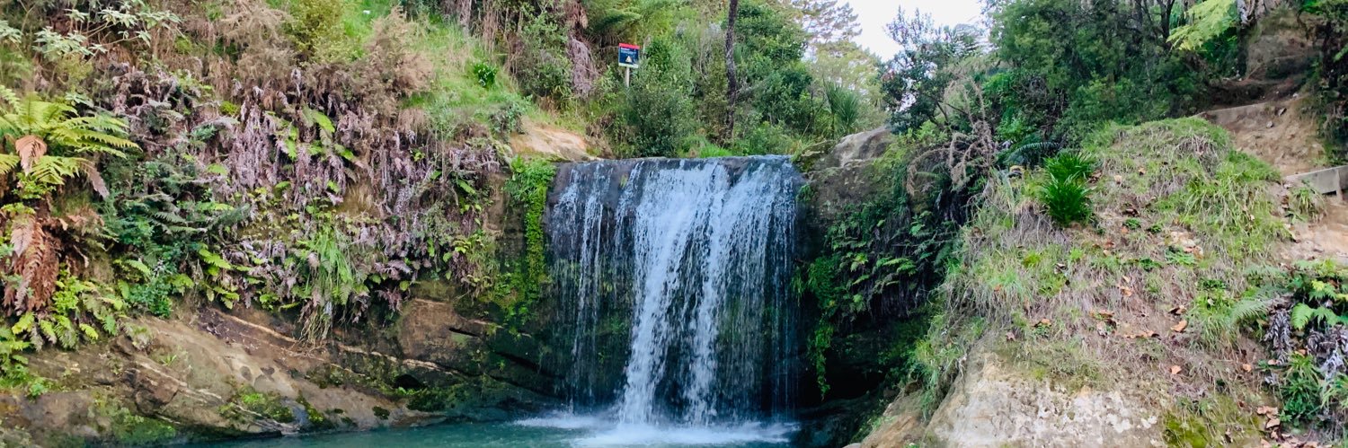 Sarah-Jane (SJ) banner