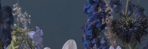 mmnchs's profile banner image