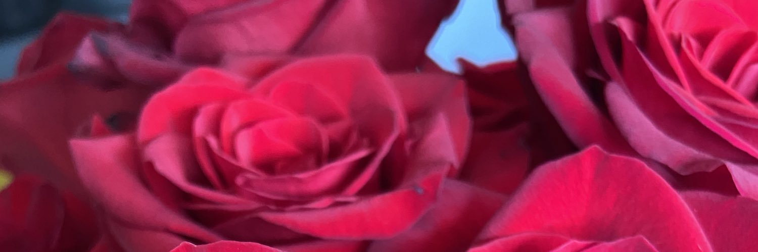 rose41999's profile banner image