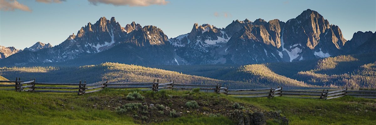 Jonathan Wood banner