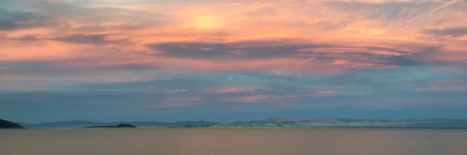 madamepris's profile banner image