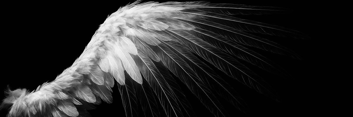 nauseaphernelia's profile banner image
