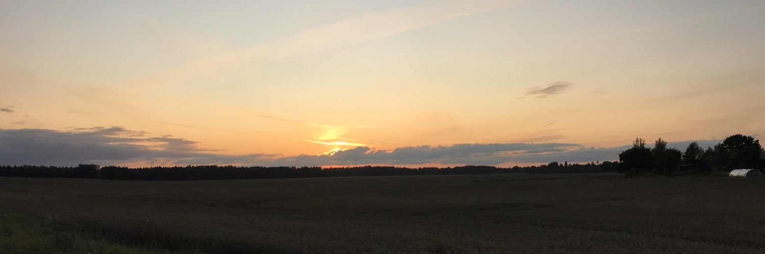 eliinavil's profile banner image