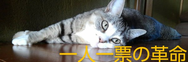 bPnVDwL2oa41227 Profile Banner