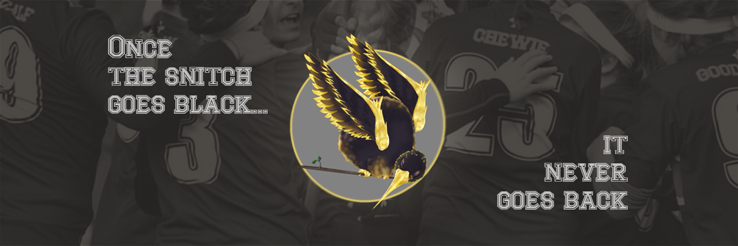 BlackSnitches's profile banner image