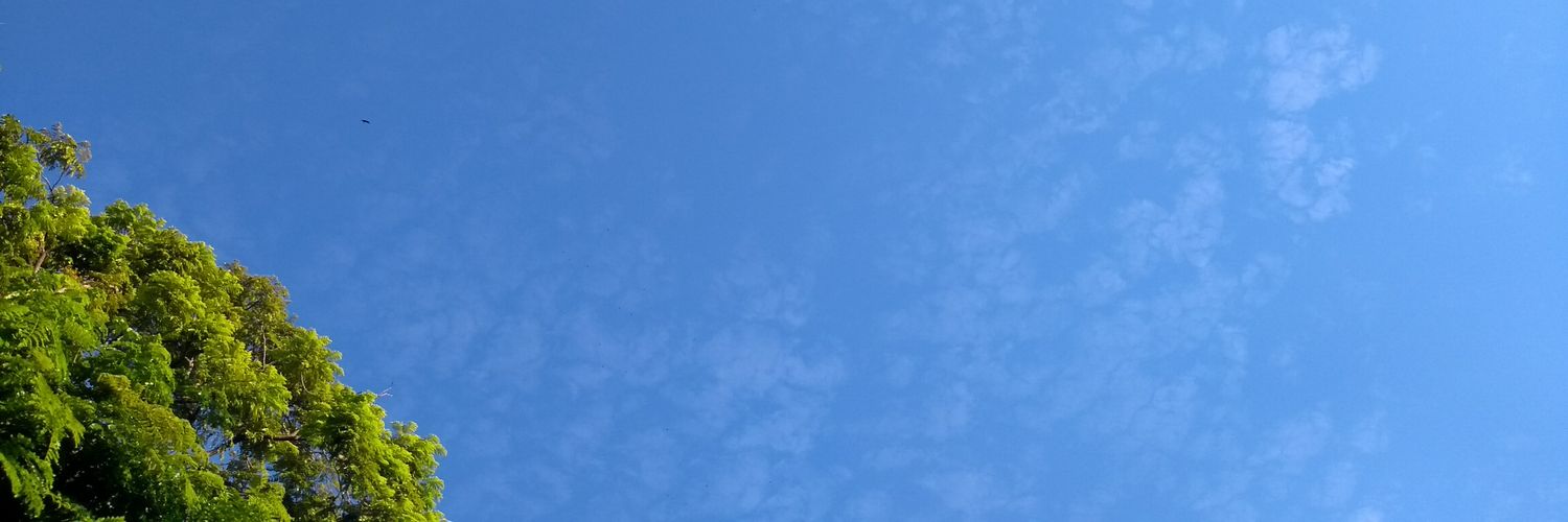 ChocolateDoBolo's profile banner image
