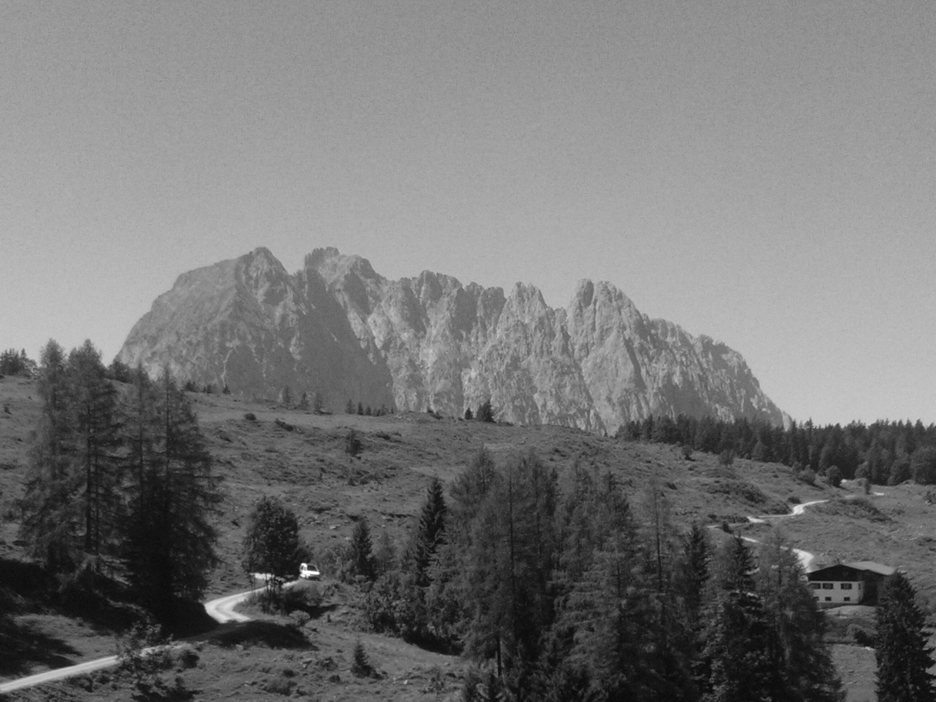 Linda Morrison banner