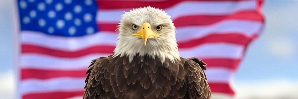 Ret_Mil_Vet's profile banner image