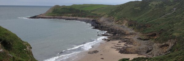 dafdent Profile Banner