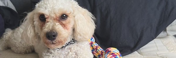 MevyM52213 Profile Banner