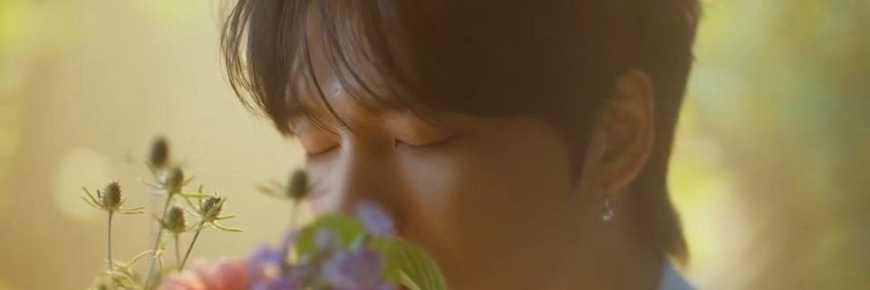 Le_Reve_'s profile banner image