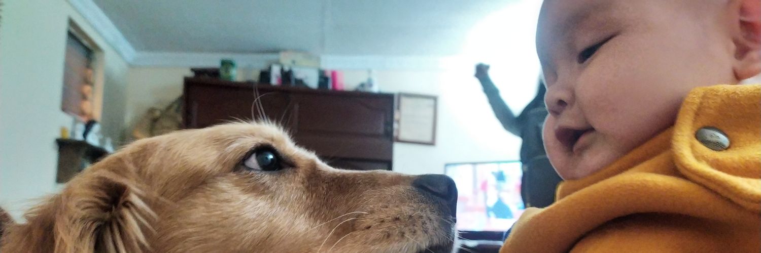 22PValentina22's profile banner image