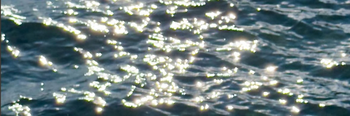 真 桜(마오) banner