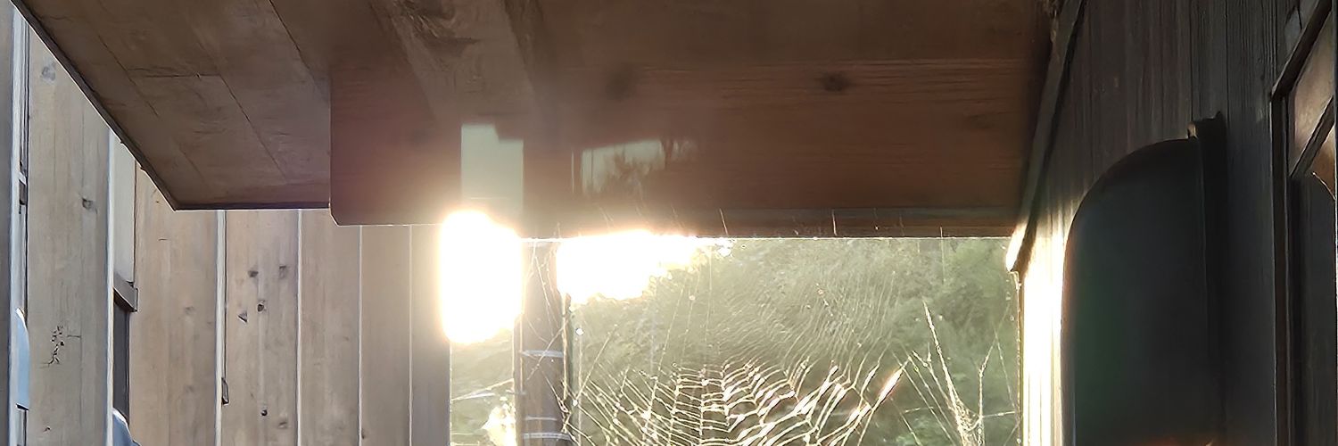 moemoeoctopus's profile banner image