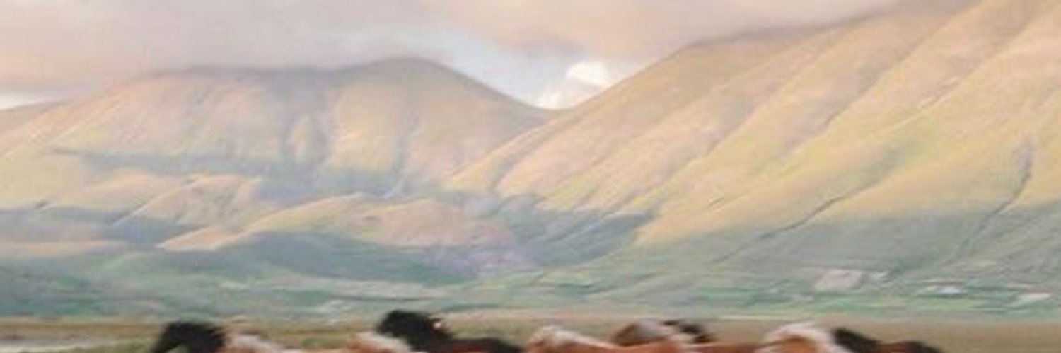 laia's banner