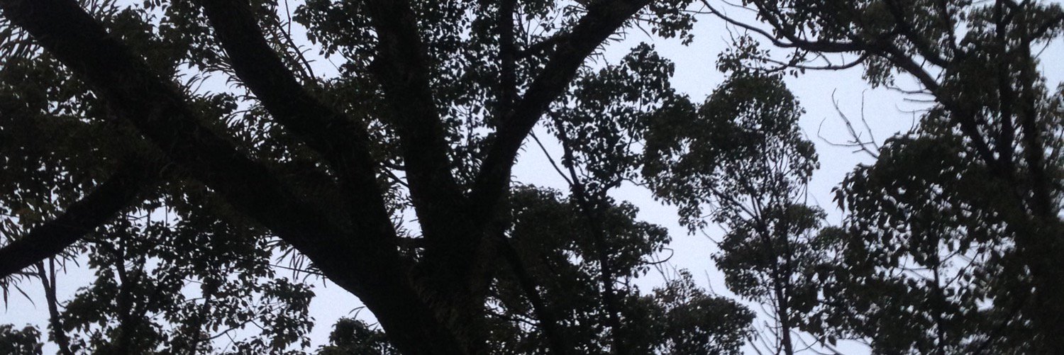 uratch_t's profile banner image