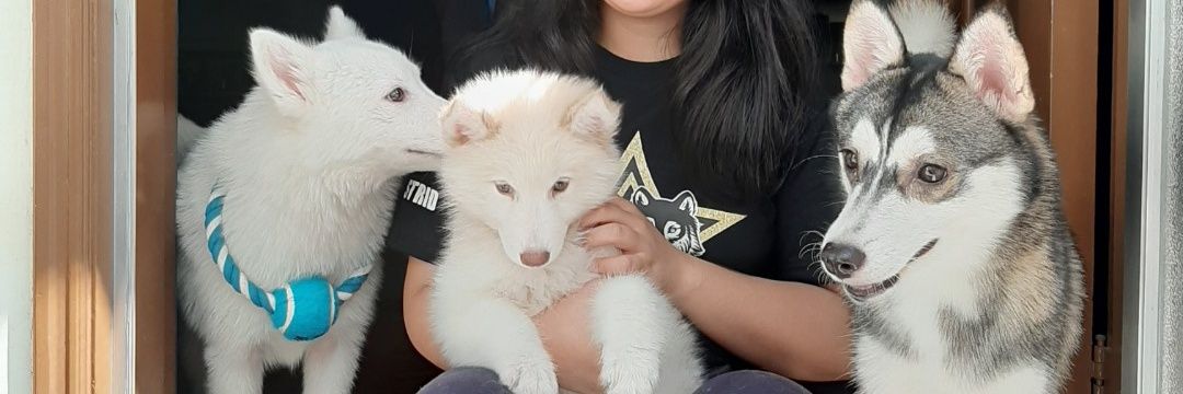 burnadeath_'s profile banner image