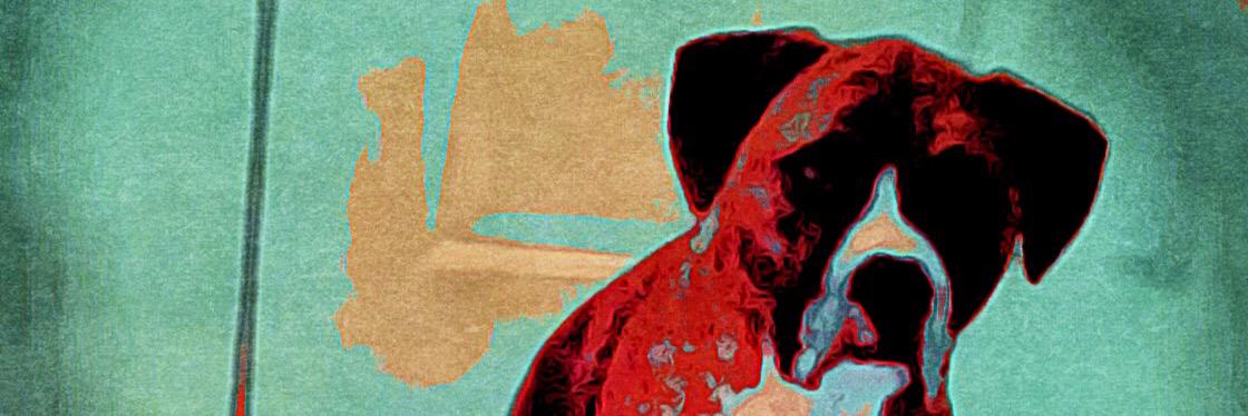 jacobrobin21's profile banner image