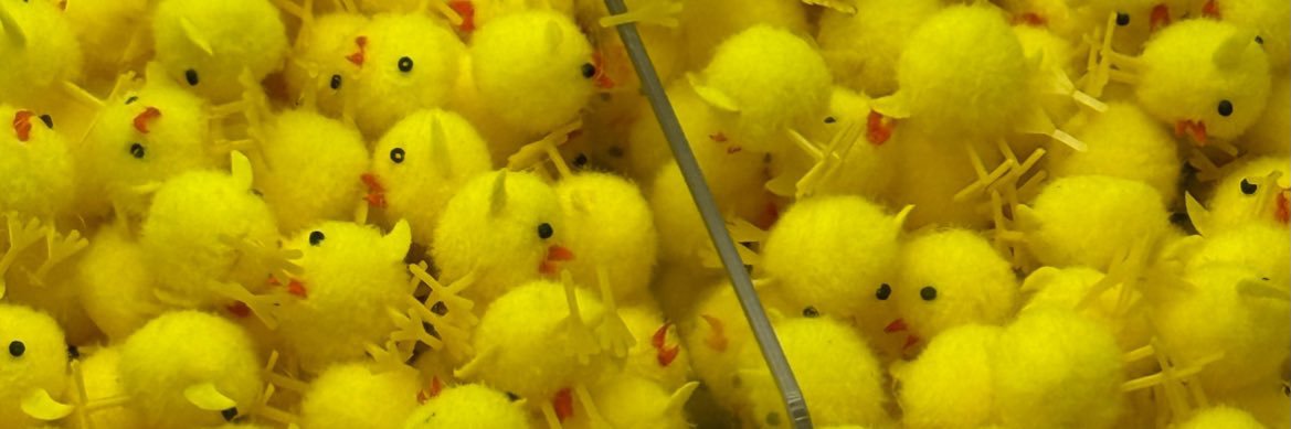 ₍^. .^₎⟆ ᵐᵉᵒʷˎˊ˗ banner