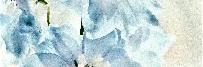 ㄹㅇ banner