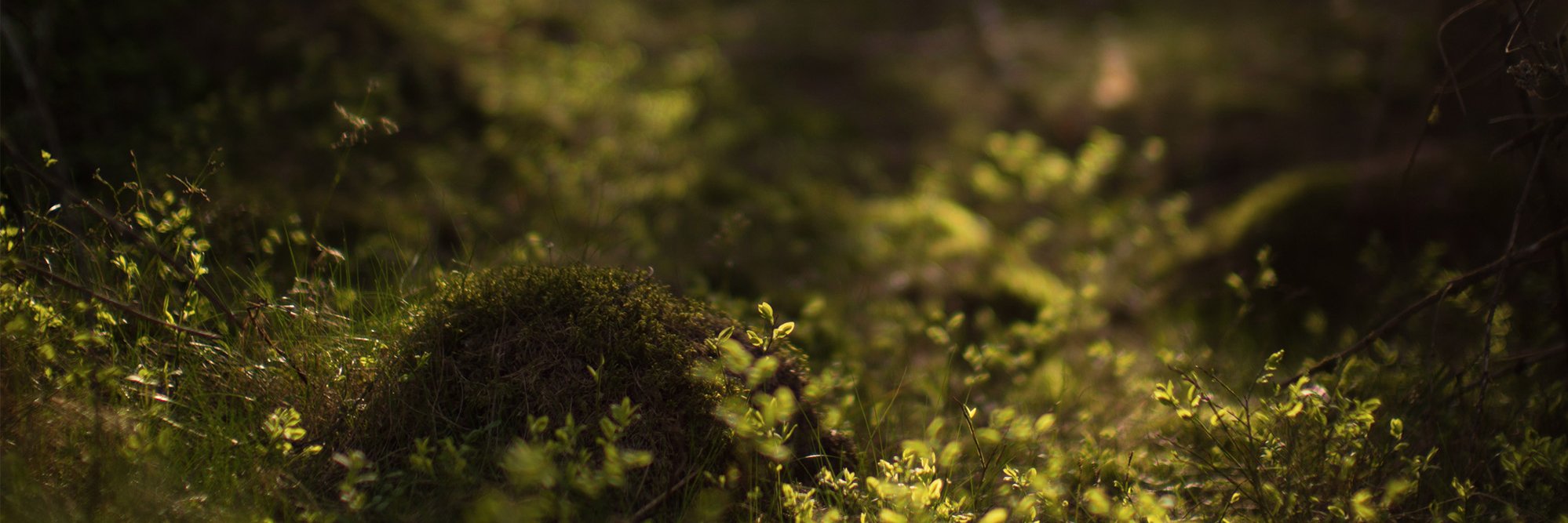 stoffen's profile banner image