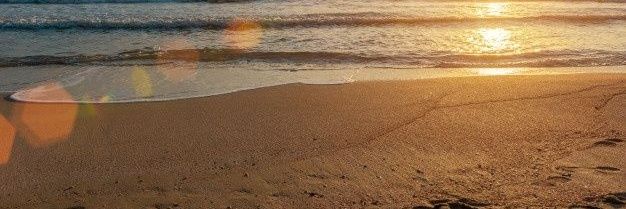 🌻Raziel Madalena🌻 banner