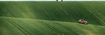 siminrozbeha_sc's profile banner image